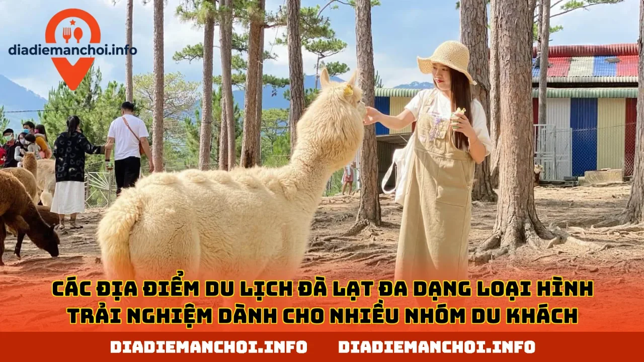 Các địa điểm du lịch Đà Lạt đa dạng loại hình trải nghiệm dành cho nhiều nhóm du khách