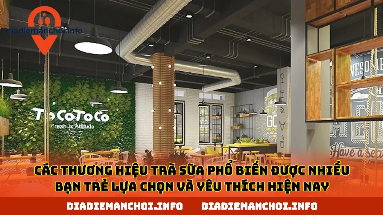 Các thương hiệu trà sữa phổ biến được nhiều bạn trẻ lựa chọn và yêu thích hiện nay