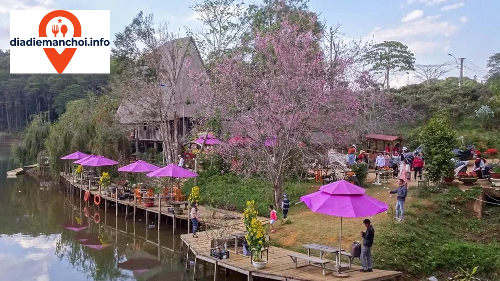 Kinh nghiệm du lịch Măng Đen từ A đến Z cho người lần đầu